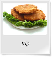 Kip