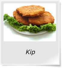 Kip